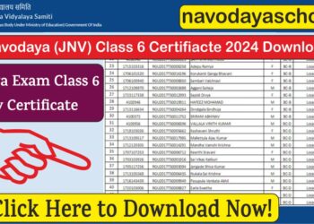 Navodaya Exam 2024 Class 6 School Study Certificate Form Download Now