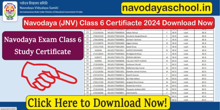 Navodaya Exam 2024 Class 6 School Study Certificate Form Download Now